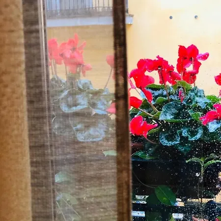 Le Cheminee Business