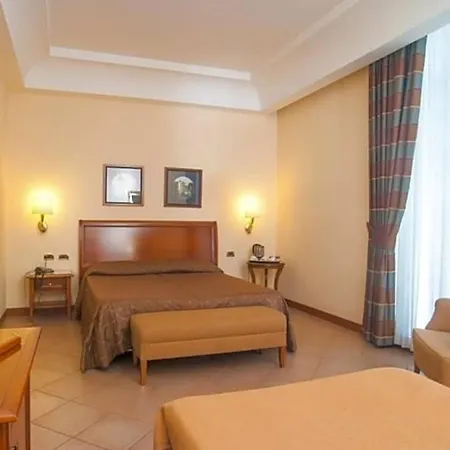Hotel Le Cheminee Business